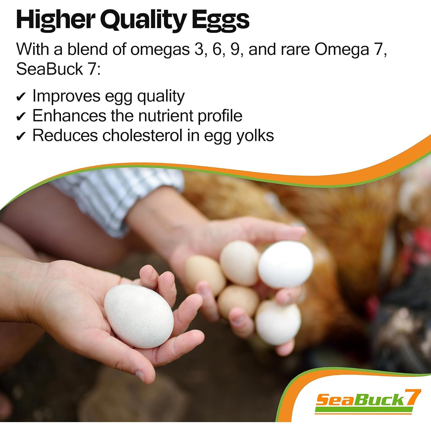 Suplemento de Pollo SeaBuck 7 - Aumento de Huevos 1 Mes 20 Pollos