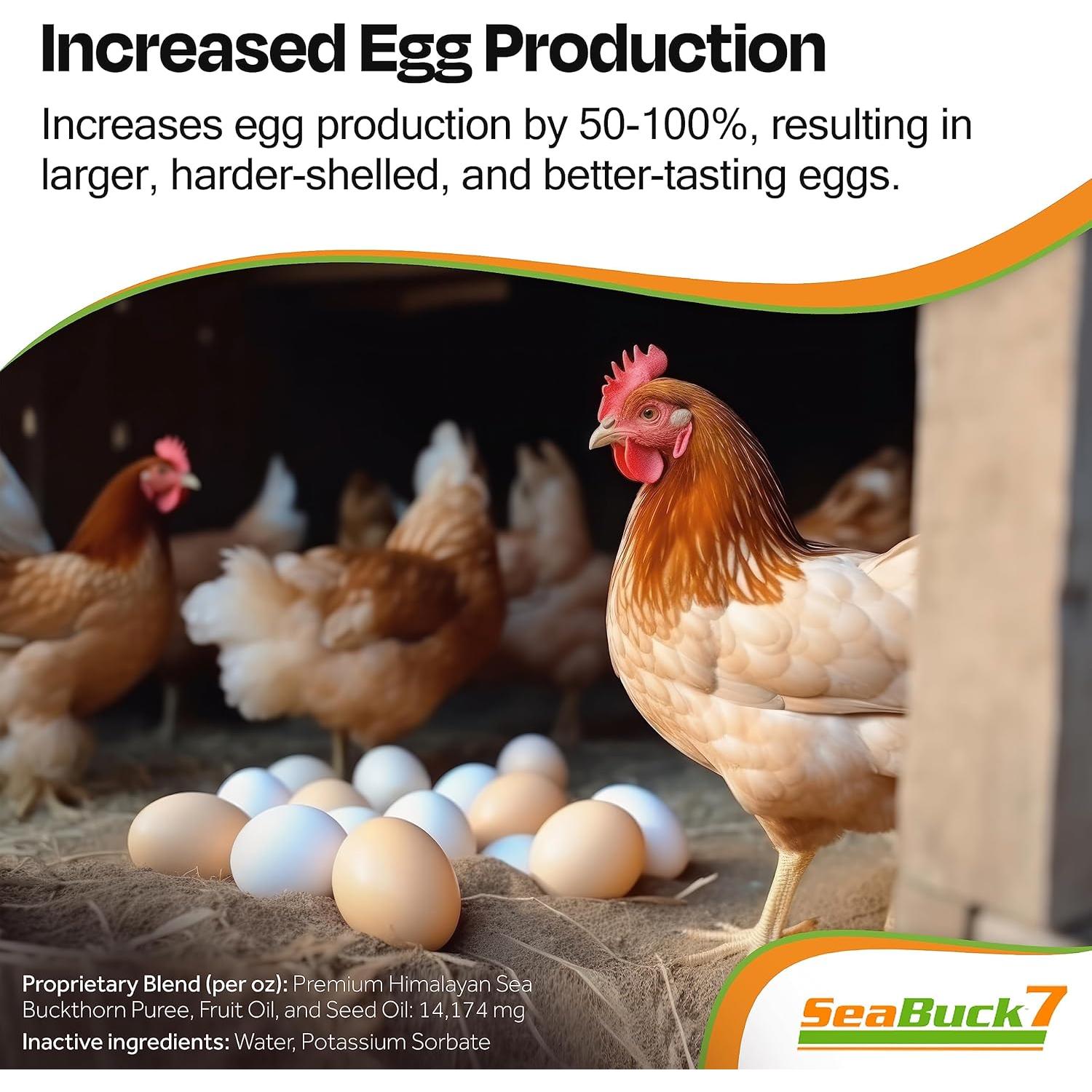 Suplemento de Pollo SeaBuck 7 - Aumento de Huevos 1 Mes 20 Pollos