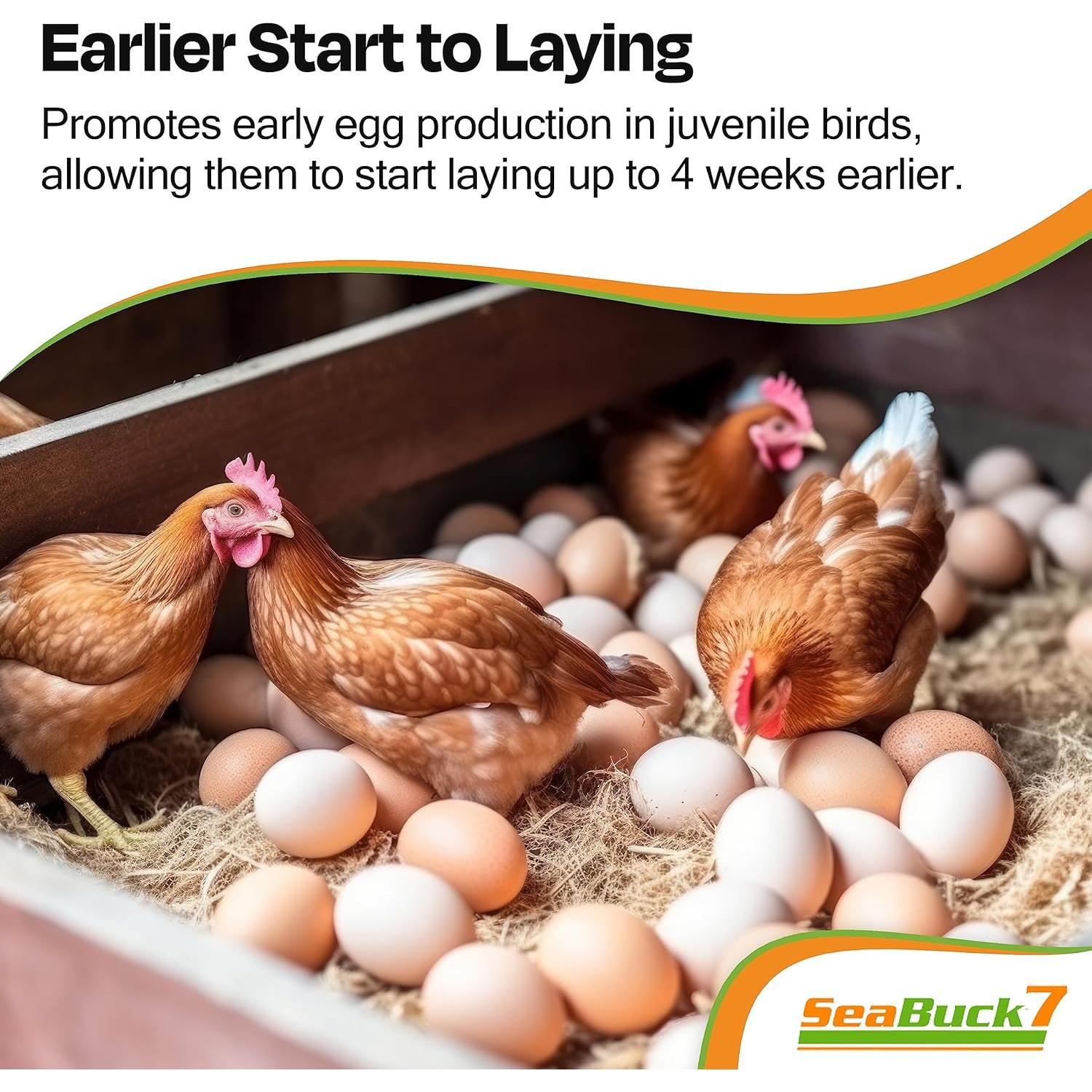 Suplemento de Pollo SeaBuck 7 - Aumento de Huevos 1 Mes 20 Pollos