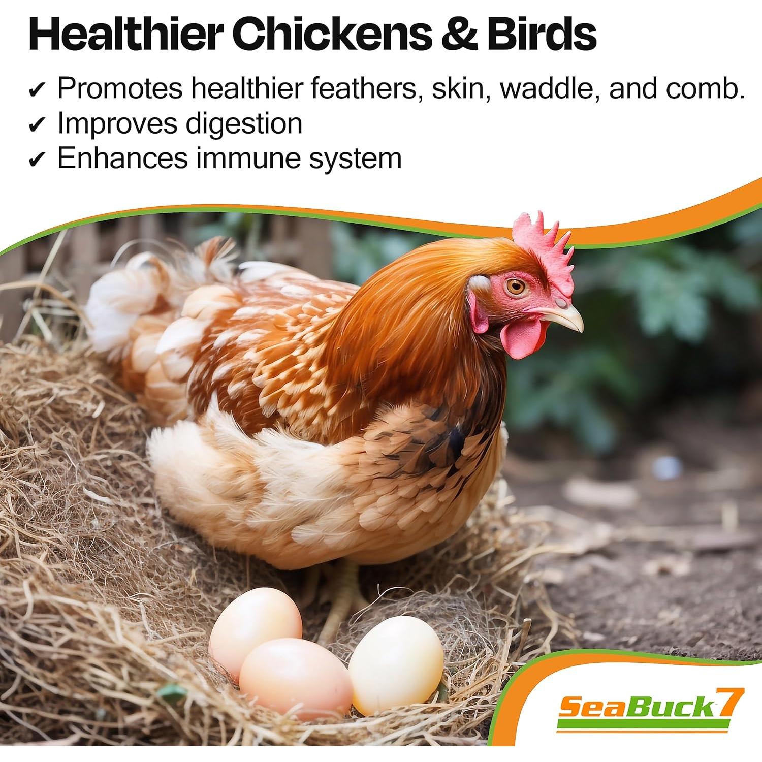 Suplemento de Pollo SeaBuck 7 - Aumento de Huevos 1 Mes 20 Pollos