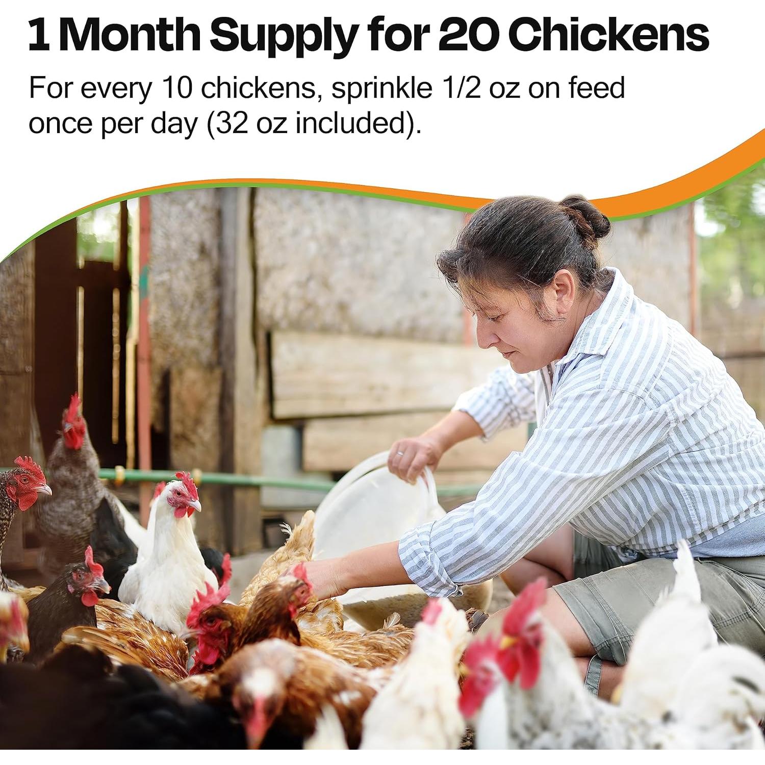 Suplemento de Pollo SeaBuck 7 - Aumento de Huevos 1 Mes 20 Pollos