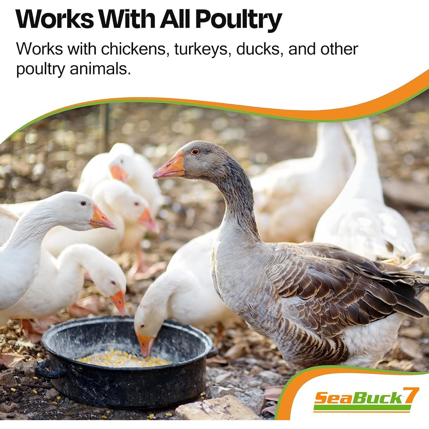 Suplemento de Pollo SeaBuck 7 - Aumento de Huevos 1 Mes 20 Pollos