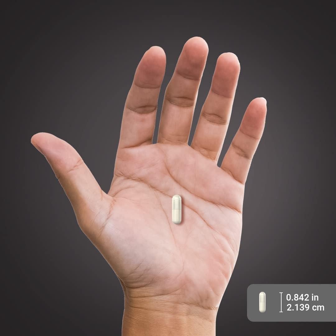 Glutamina en Cápsulas Piping Rock 2000 mg - 240 Unidades