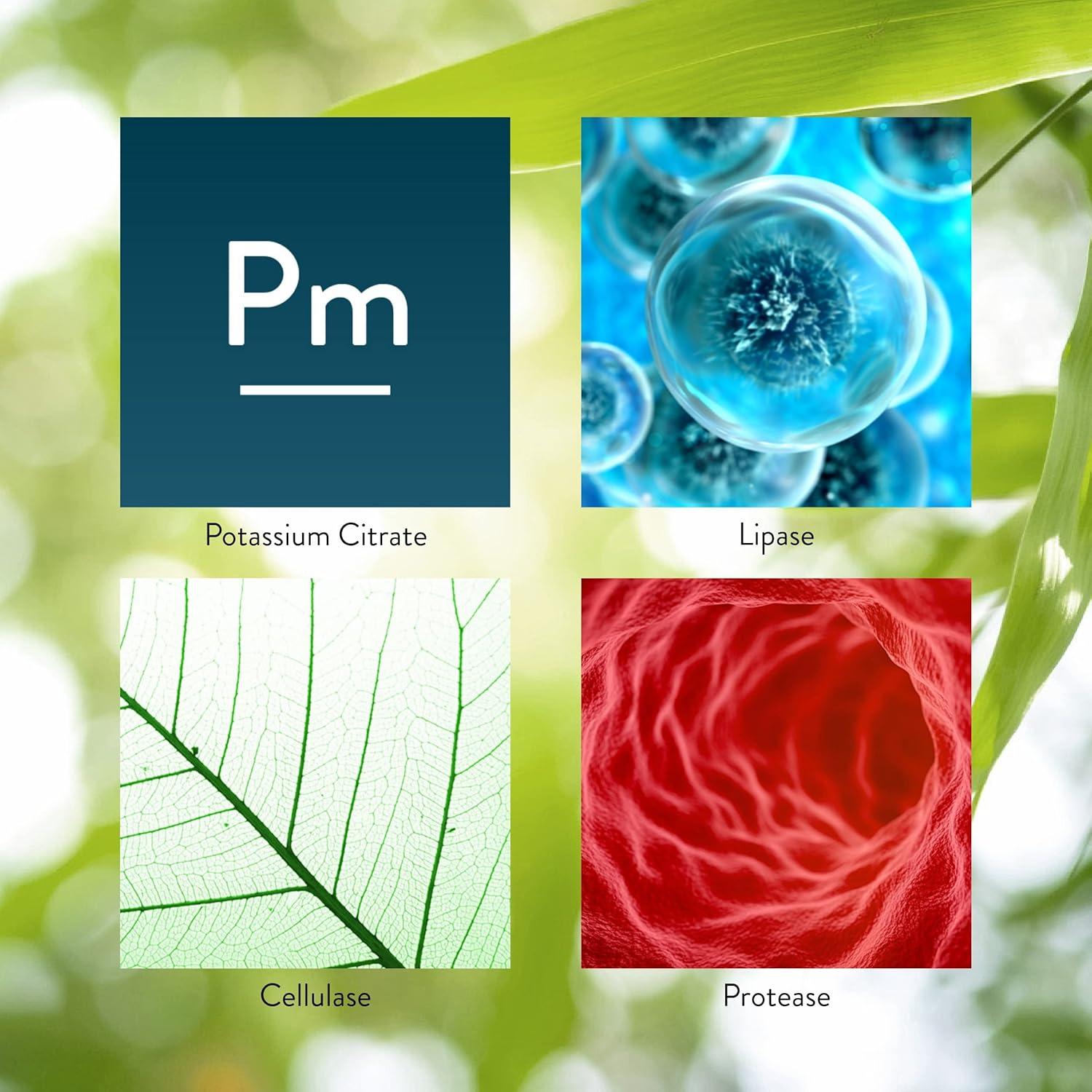 Suplemento Digestivo Hi Lipase Nature's Sunshine 100 Cápsulas