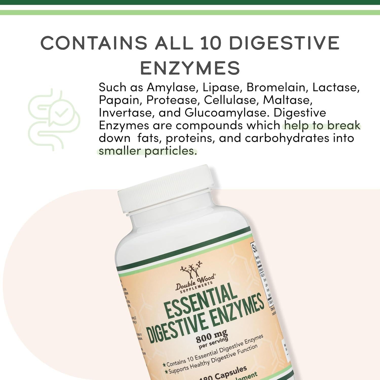 Enzimas Digestivas 800mg Double Wood - 10 Esenciales para Digestión