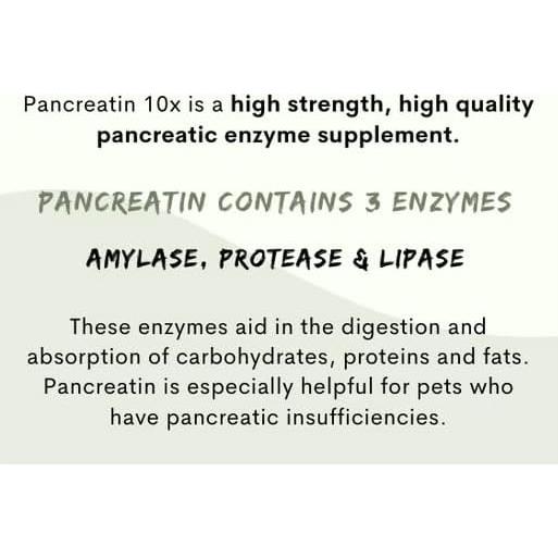 Pancreatina 10X Paw Vitality 285g - Enzimas Digestivas para Mascotas
