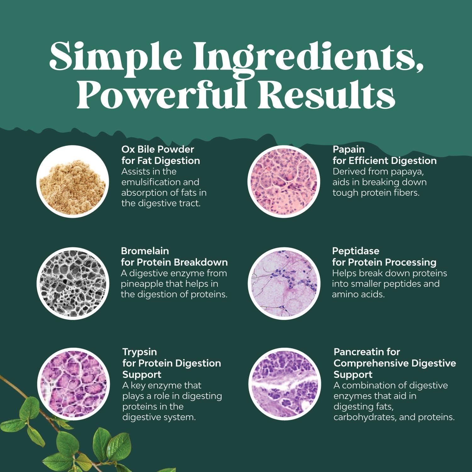 Enzimas Digestivas Natures Craft 90 Ct - Bilis Bovina y Pancreatina