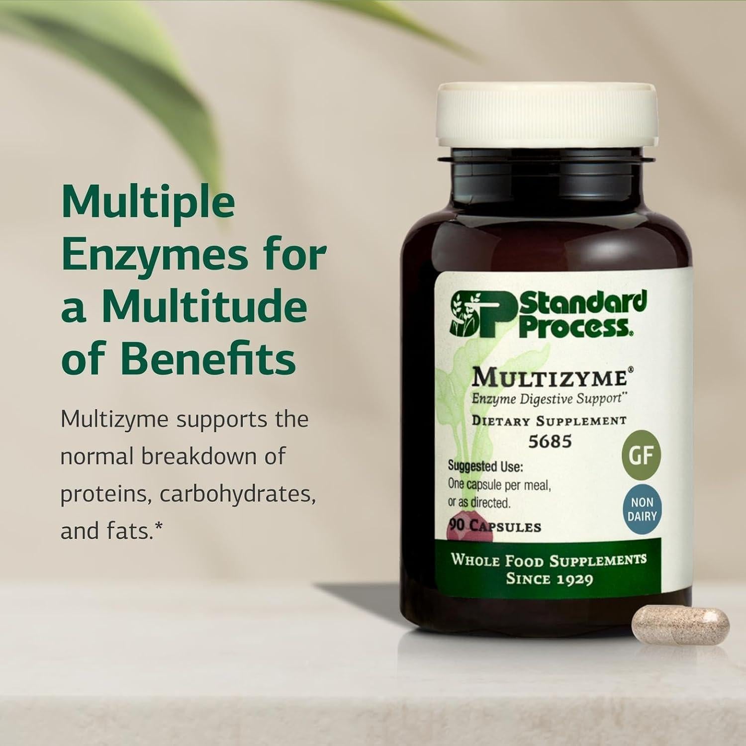 Suplemento Digestivo Proceso Estándar - 90 Cápsulas de Enzimas