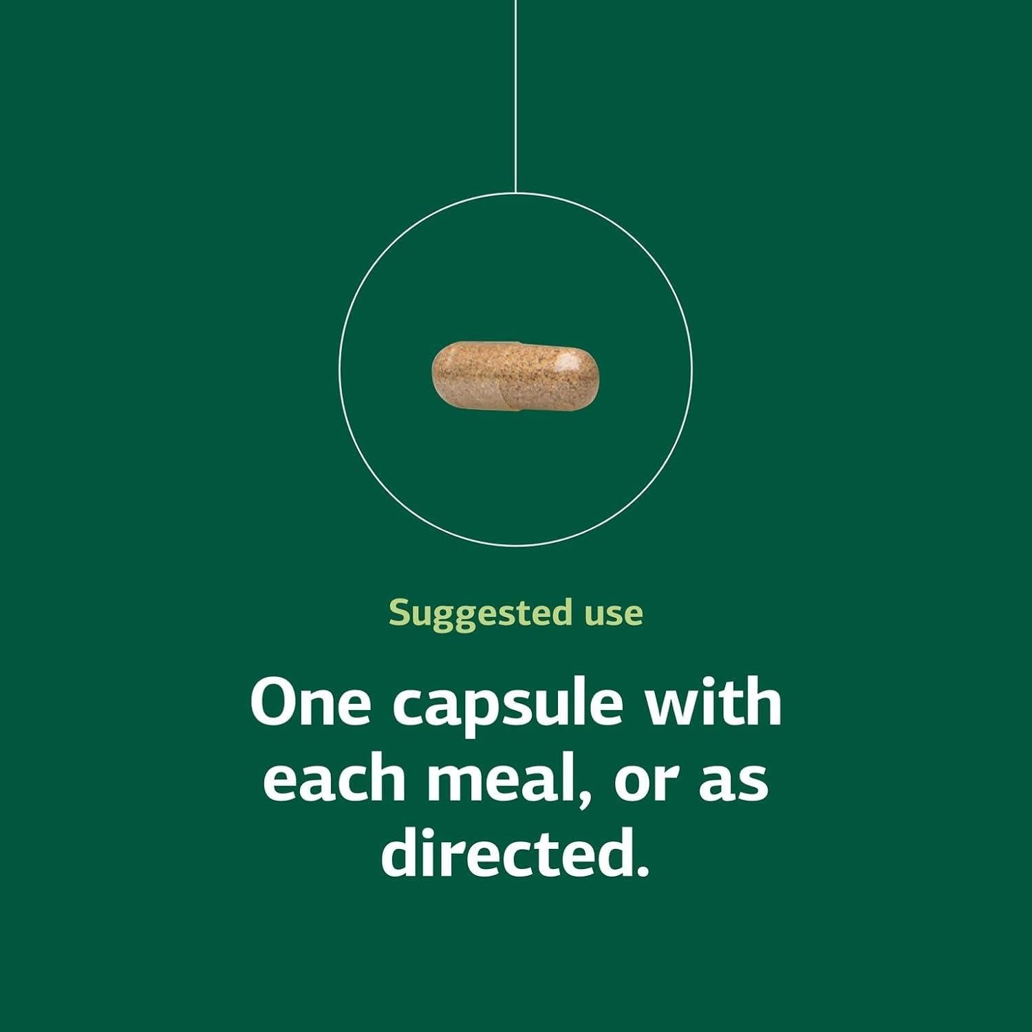 Suplemento Digestivo Proceso Estándar - 90 Cápsulas de Enzimas