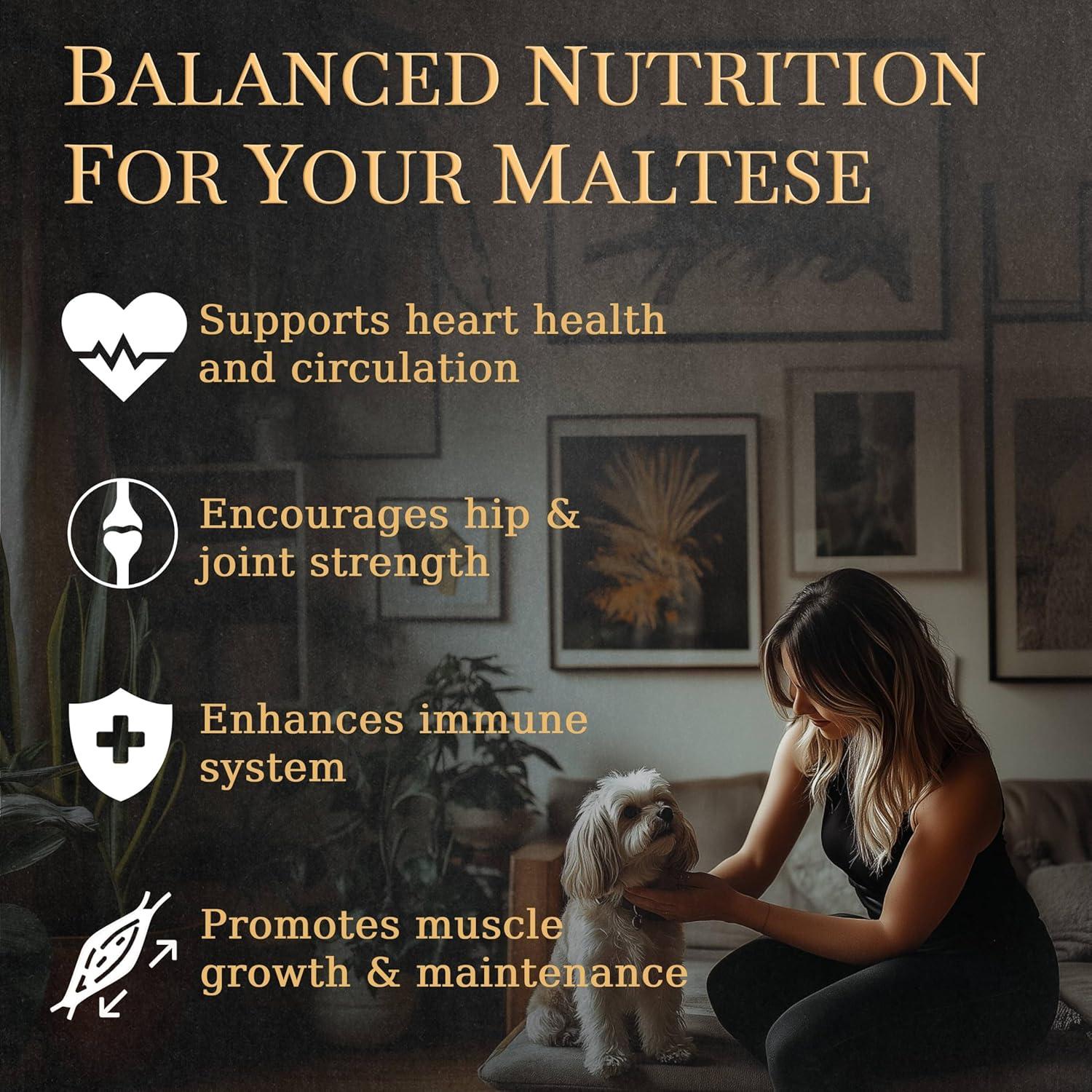 Multivitaminas para Maltés Dogletics 90 Cápsulas Salud Articular