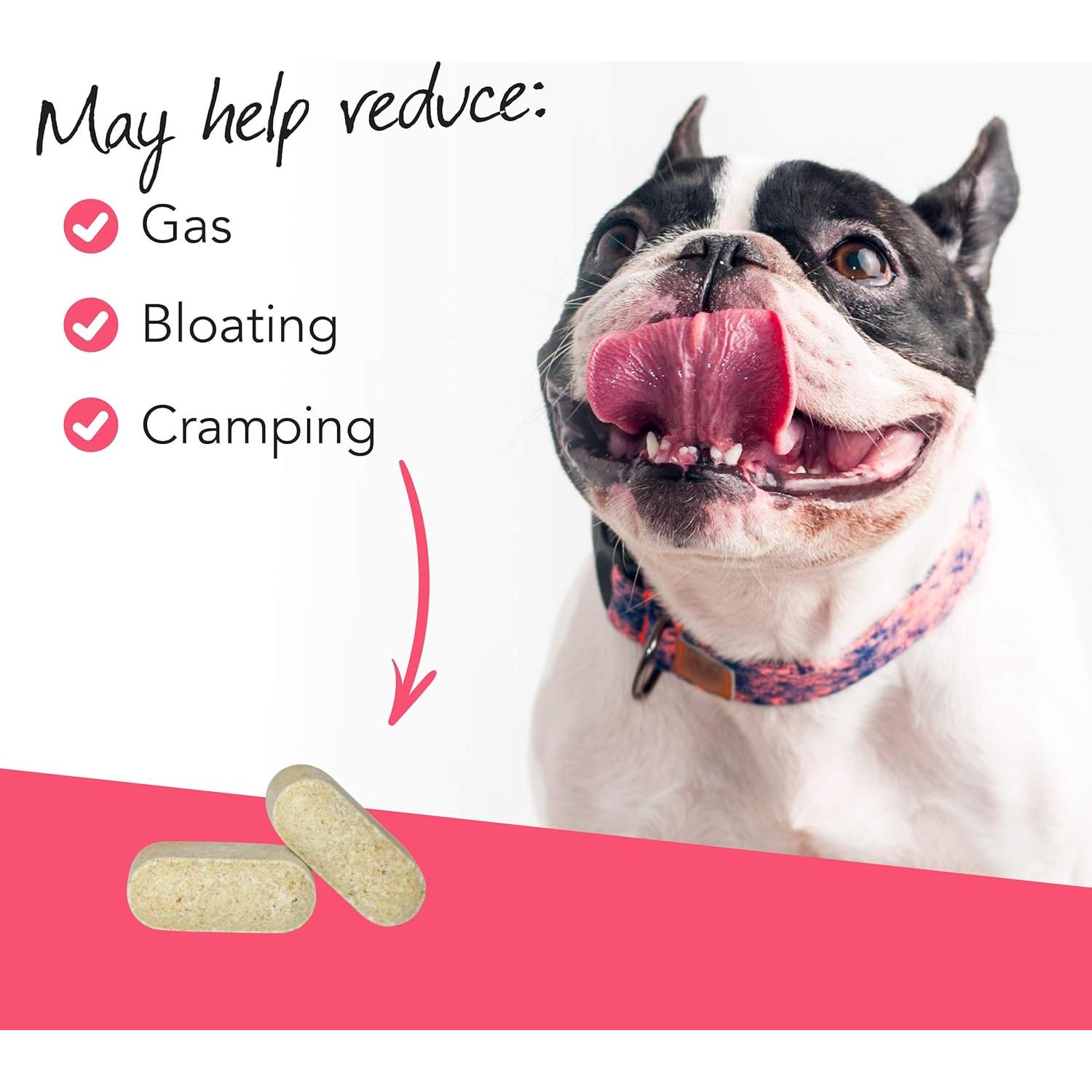 Suplemento Digestivo Masticable VetriScience para Perros 120g