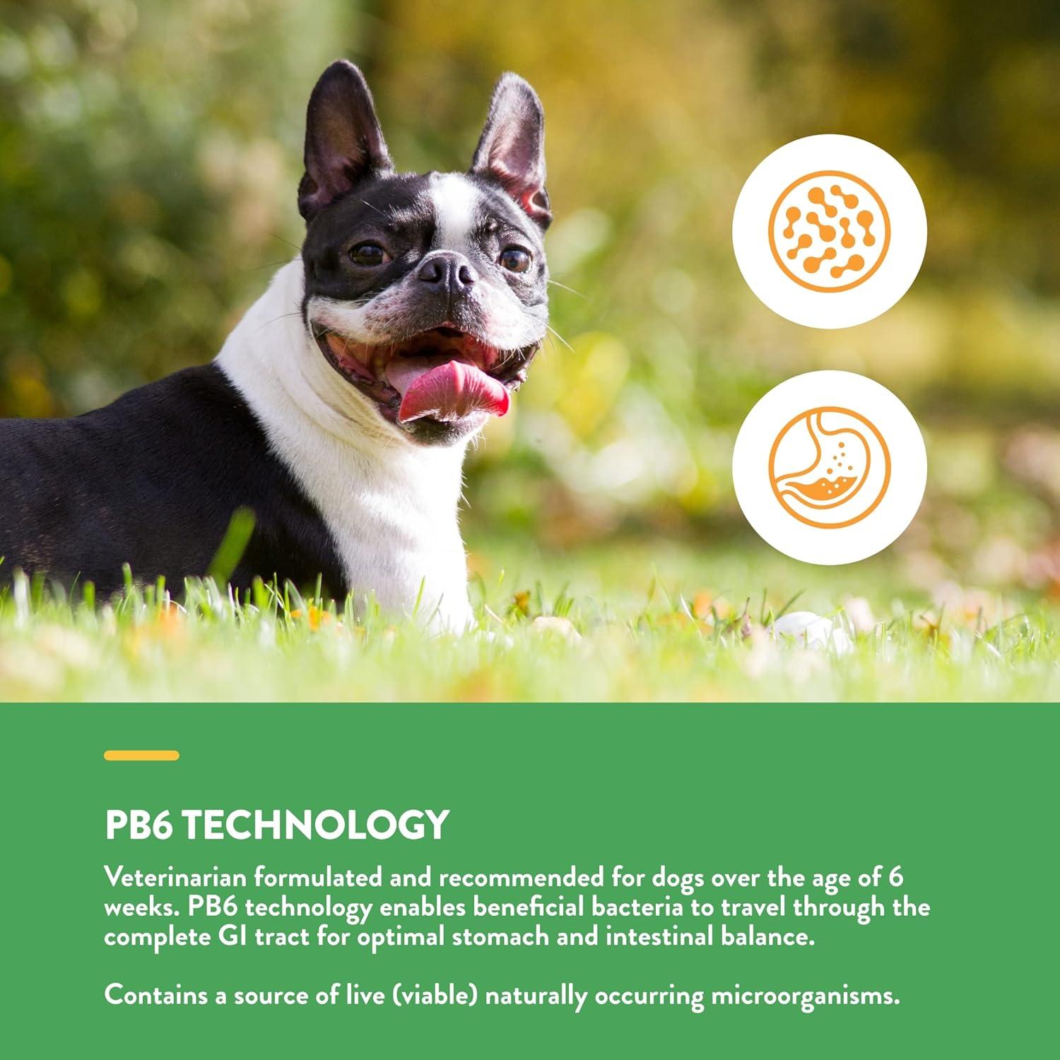 NaturVet Suplemento Probioticos y Enzimas para Perros 240 ct