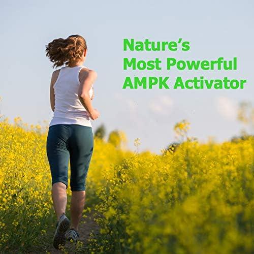 Cápsulas de Gynostemma Immortalitea 500mg - Suplemento Natural