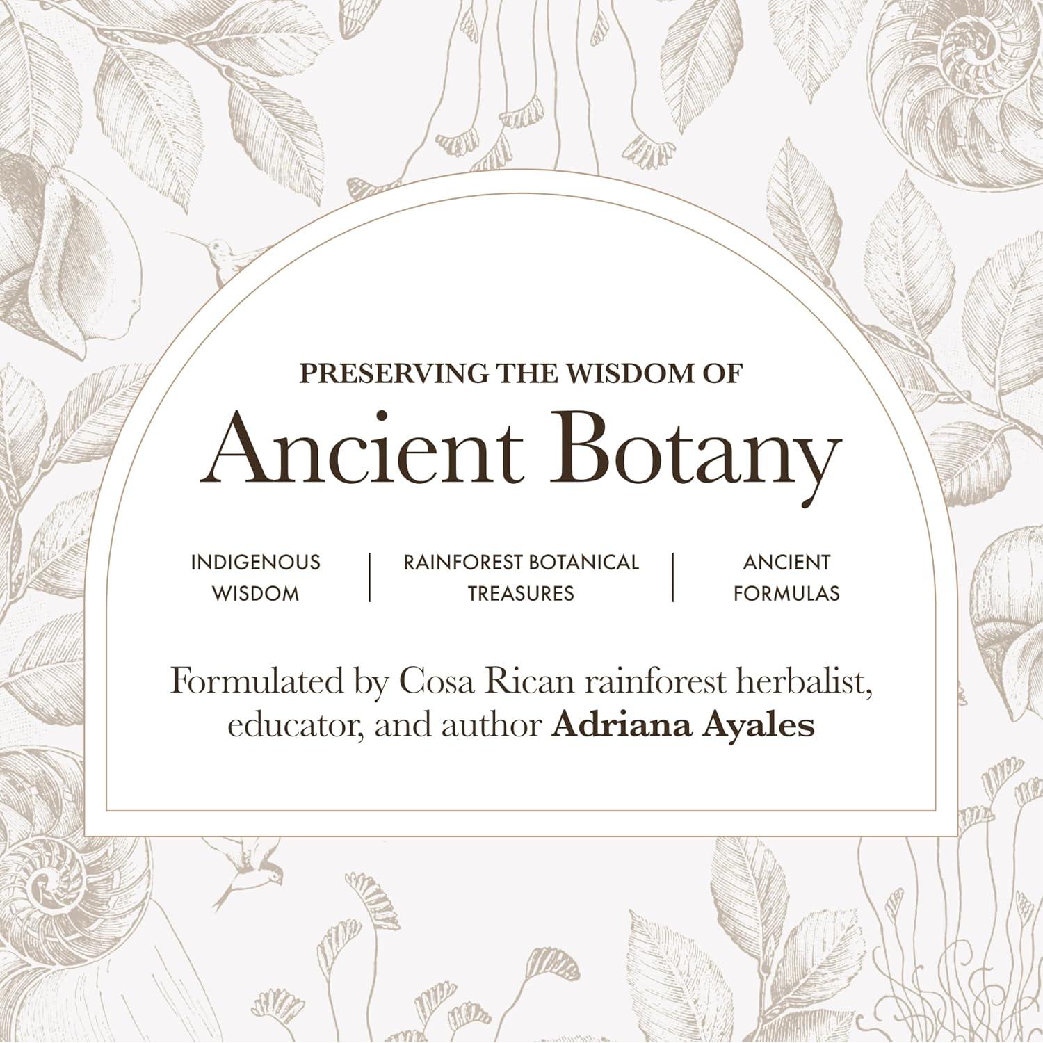 Té de Gynostemma Anima Mundi - Hoja de Jiaogulan 57g