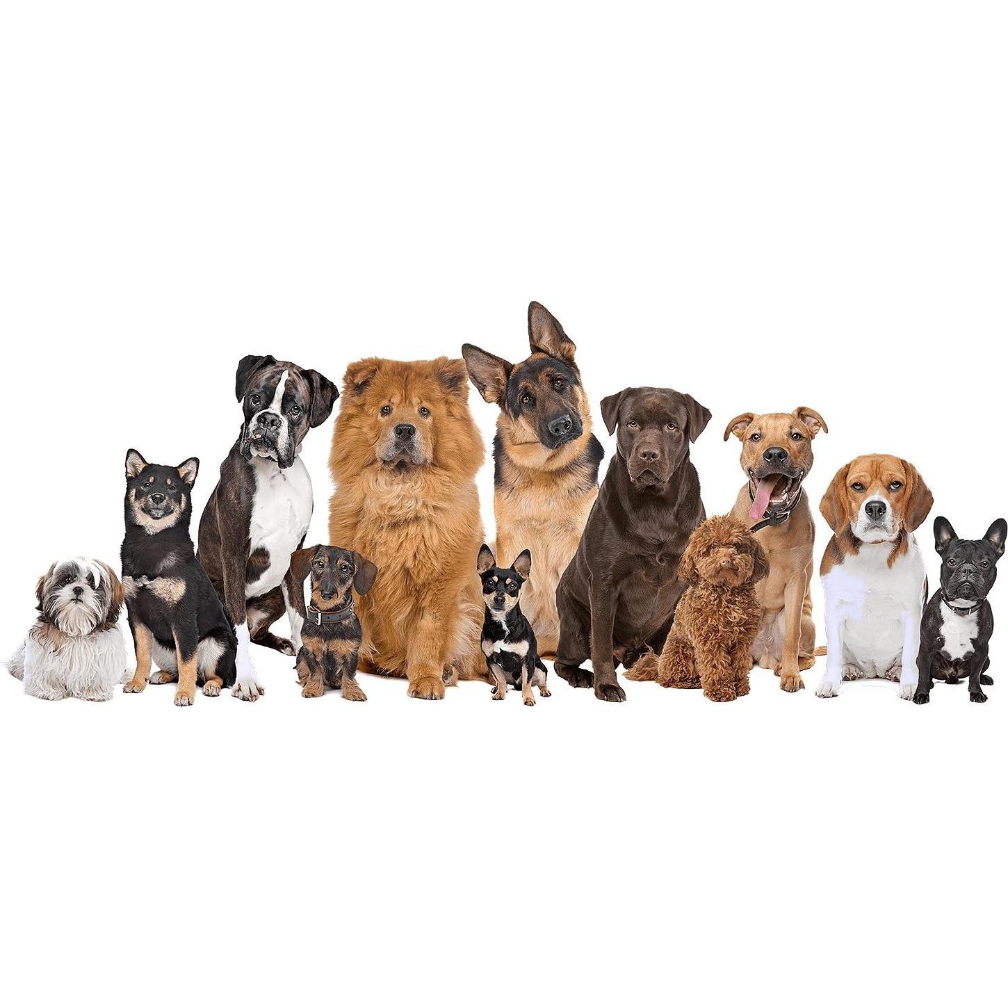 Suplemento Natural para Perros Health Factor - Cuerno de Alce 2 Meses