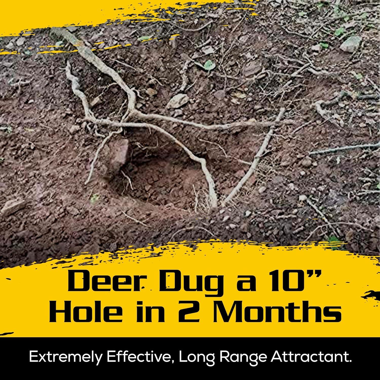 Polvo Mineral Outdoor Hunting Lab 2.27 kg para Ciervos