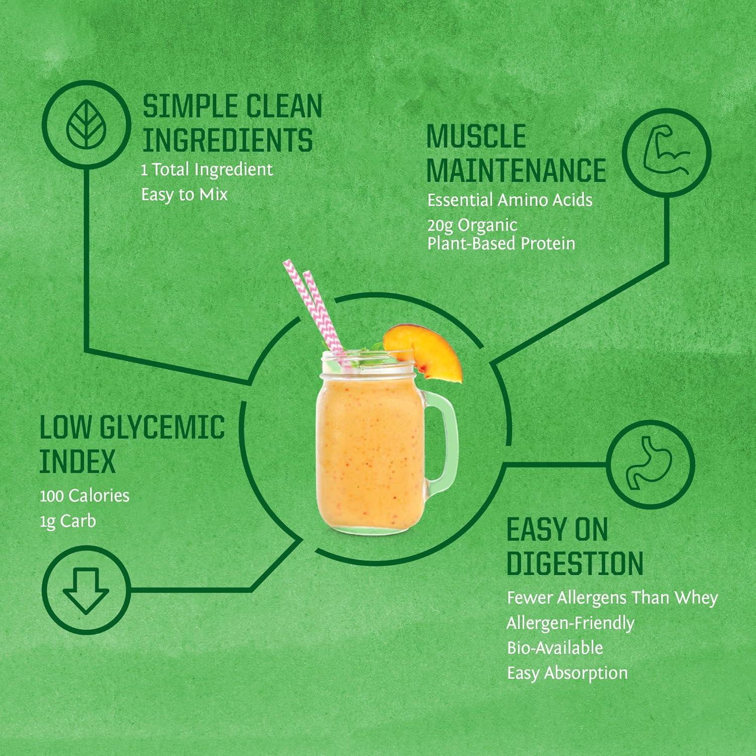 Proteína en Polvo de Arroz Integral Sunwarrior 375g Sin Gluten