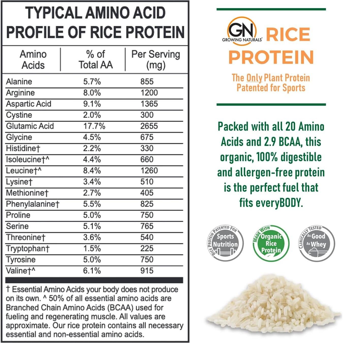 Proteína de Arroz Orgánico Growing Naturals 464g - Vainilla