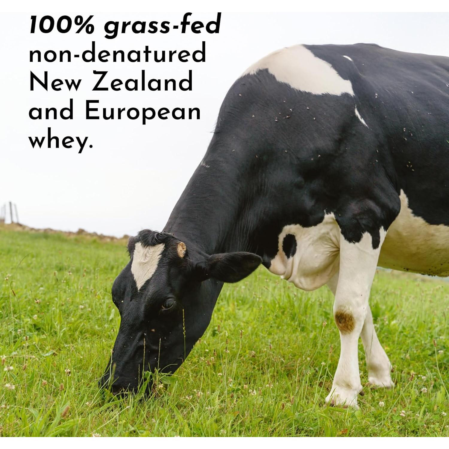 Proteína en Polvo Just Ingredients Vainilla Francesa 30 Porciones