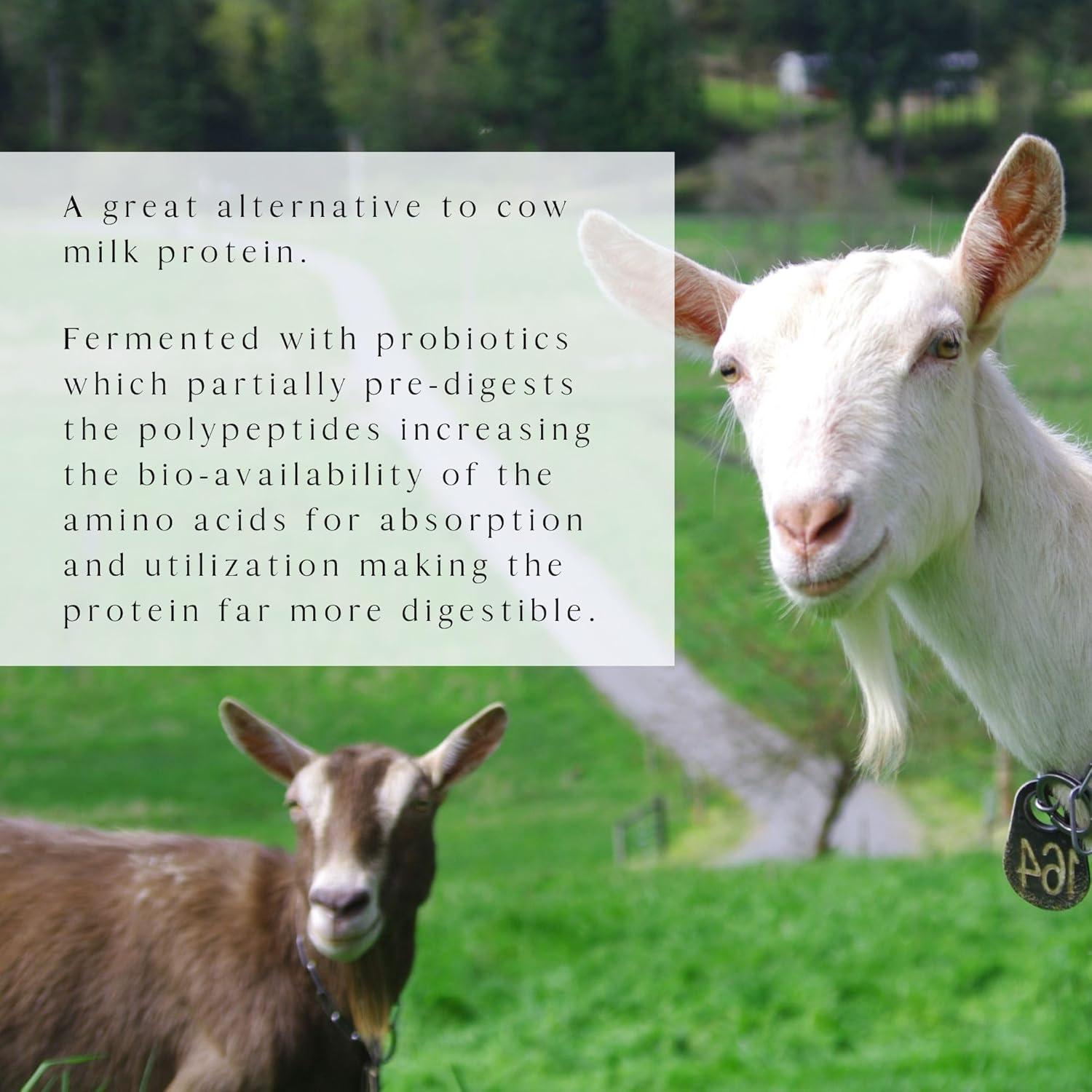 Proteína de Caseína de Cabra Mt. Capra Vainilla 453 g