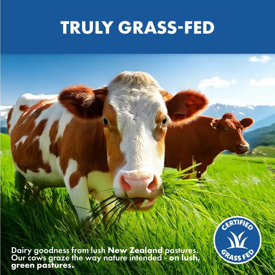 Proteína de Suero de Leche Alimentada con Pasto Opportuniteas 450g