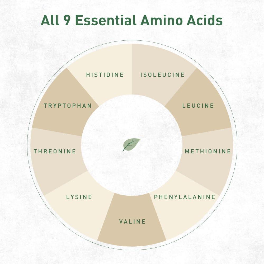 Proteína Vegana en Polvo Hemplete 283.5g Sin Sabor