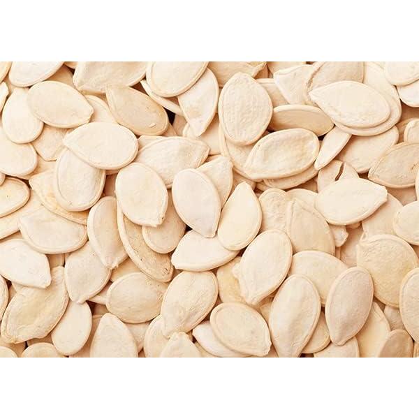 Polvo de Proteína de Semilla de Calabaza Unpretentious 0.68 kg