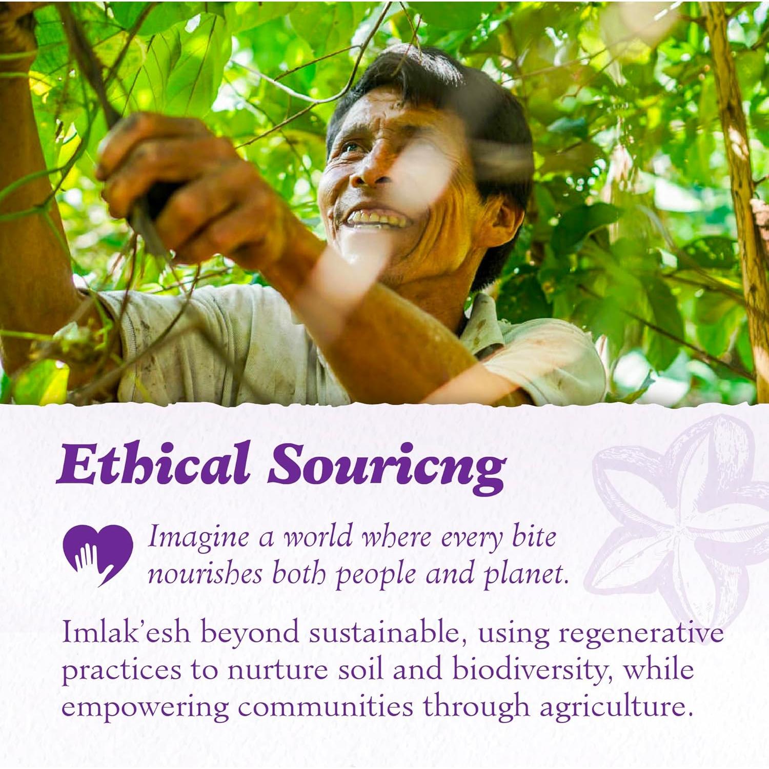 Nueces Sacha Inchi Imlakesh Organics 396g Tarro Metal