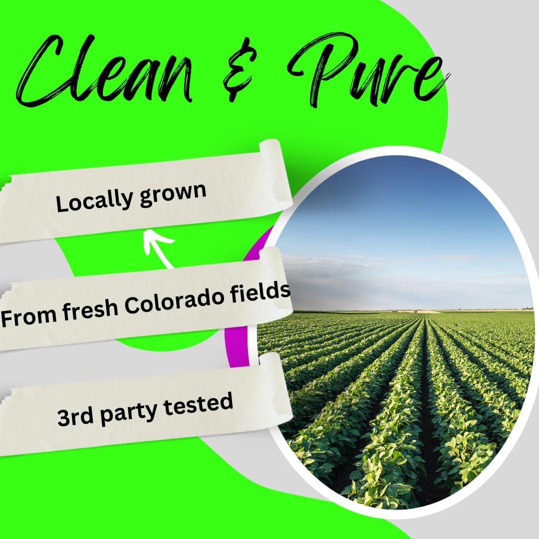 True Hemp Oil 500,00 Hemp Oil Blend w/Ingredient You Need for Body Aches, worriedness & to Feel Calm