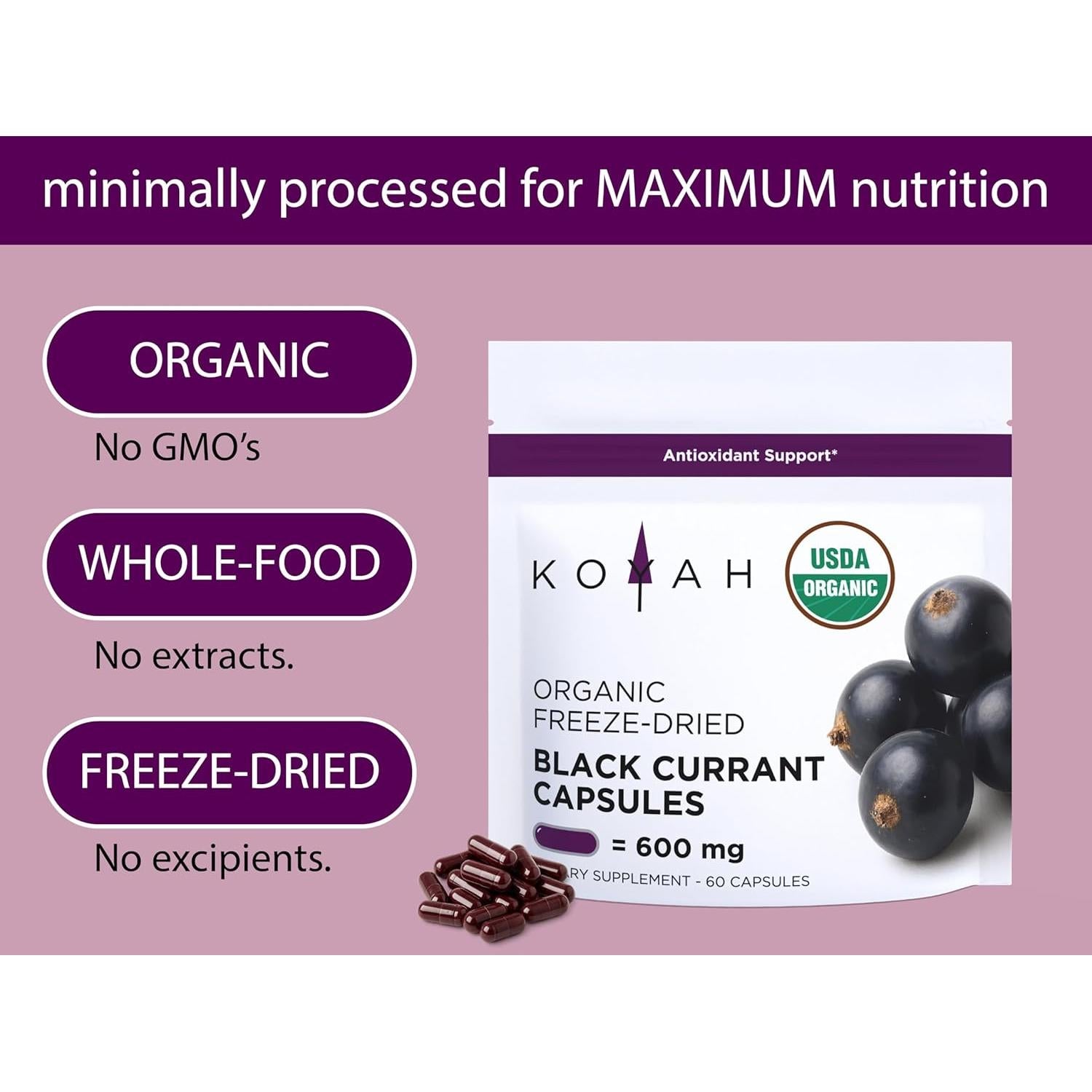 Cápsulas de Grosella Negra Orgánica KOYAH 600 mg Veganas 60 Uds