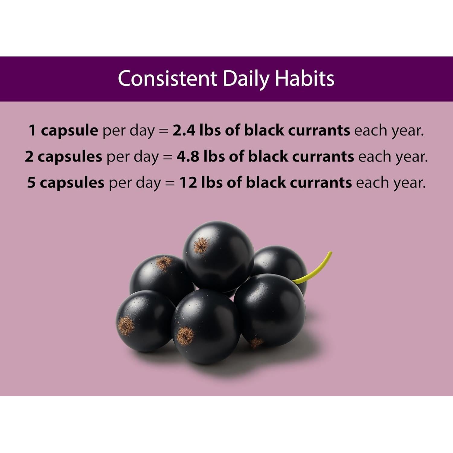 Cápsulas de Grosella Negra Orgánica KOYAH 600 mg Veganas 60 Uds