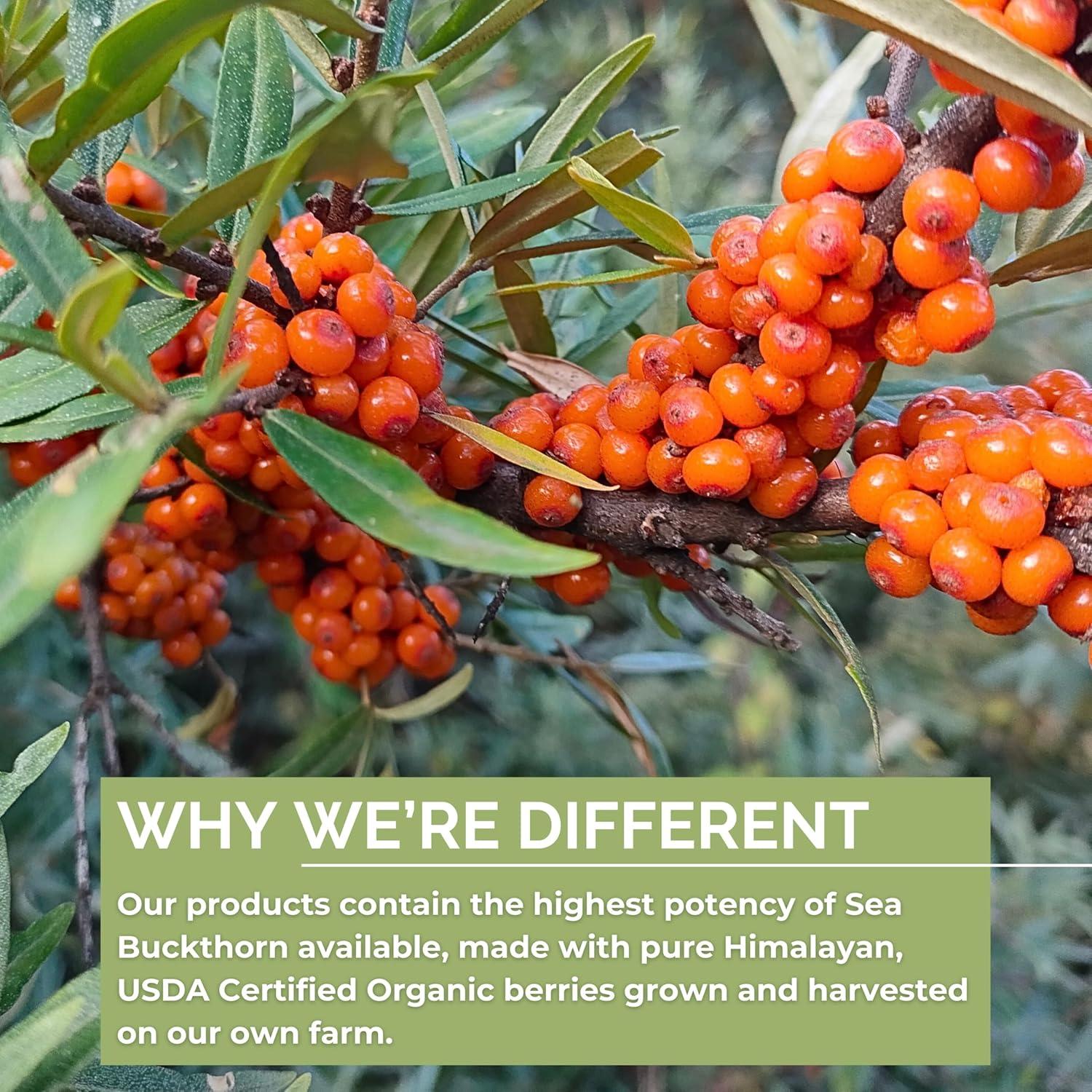 Suplemento Fem-Omega7 SeabuckWonders 60 Cápsulas Hidratantes