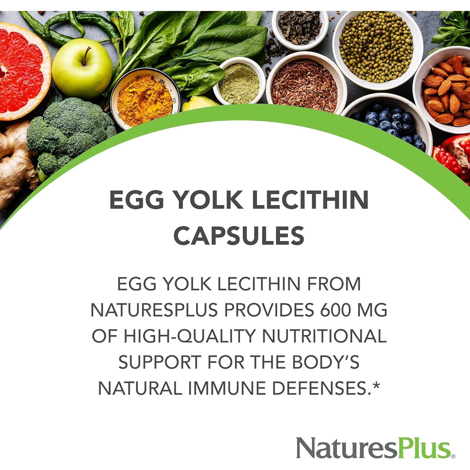 Lecitina de Yema de Huevo NaturesPlus 600 mg - 180 Cápsulas