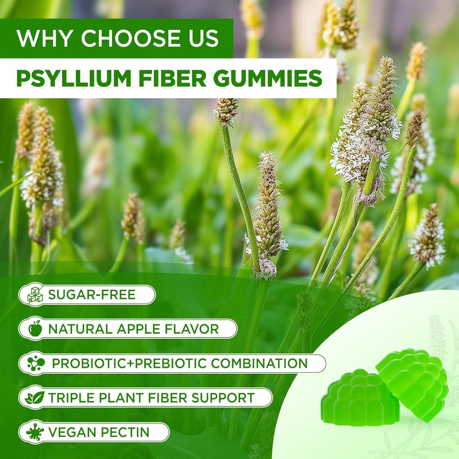 Gomitas de Psyllium Husk Natisland 1500mg 60 Masticables Veganas