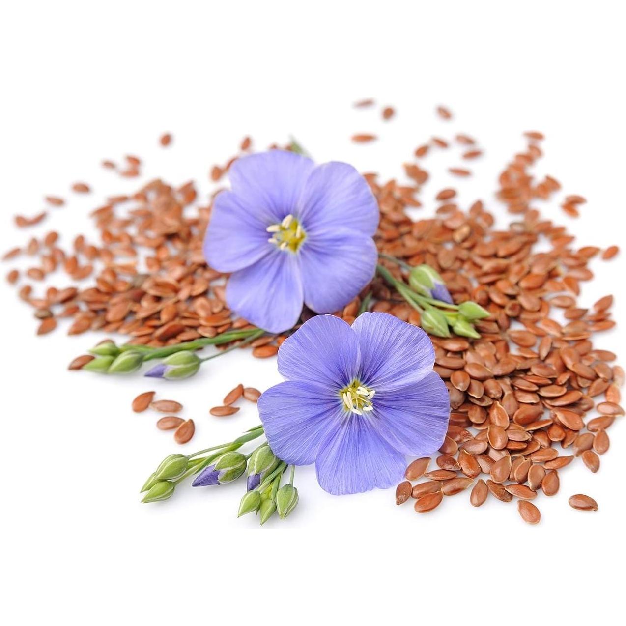 Harina de Semilla de Lino Marrón Orgánica Comida para Vivir 450g