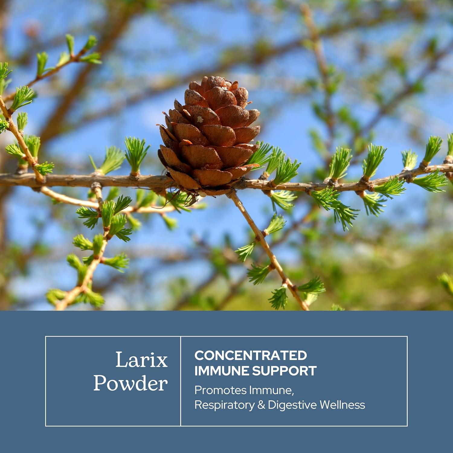 Polvo Inmunológico Eclectic Institute Larix 340 g - Apoyo Salud