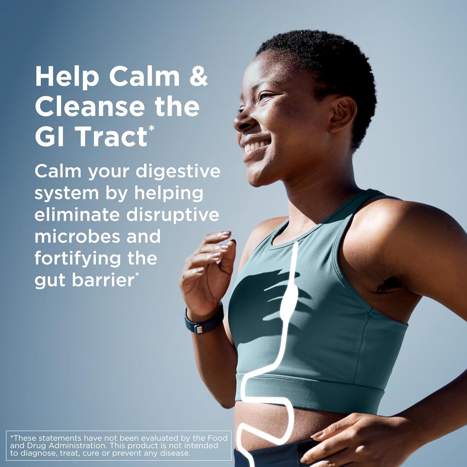 Suplemento Intestinal IgGI Shield DFH - 120 Cápsulas Inmunoglobulina G