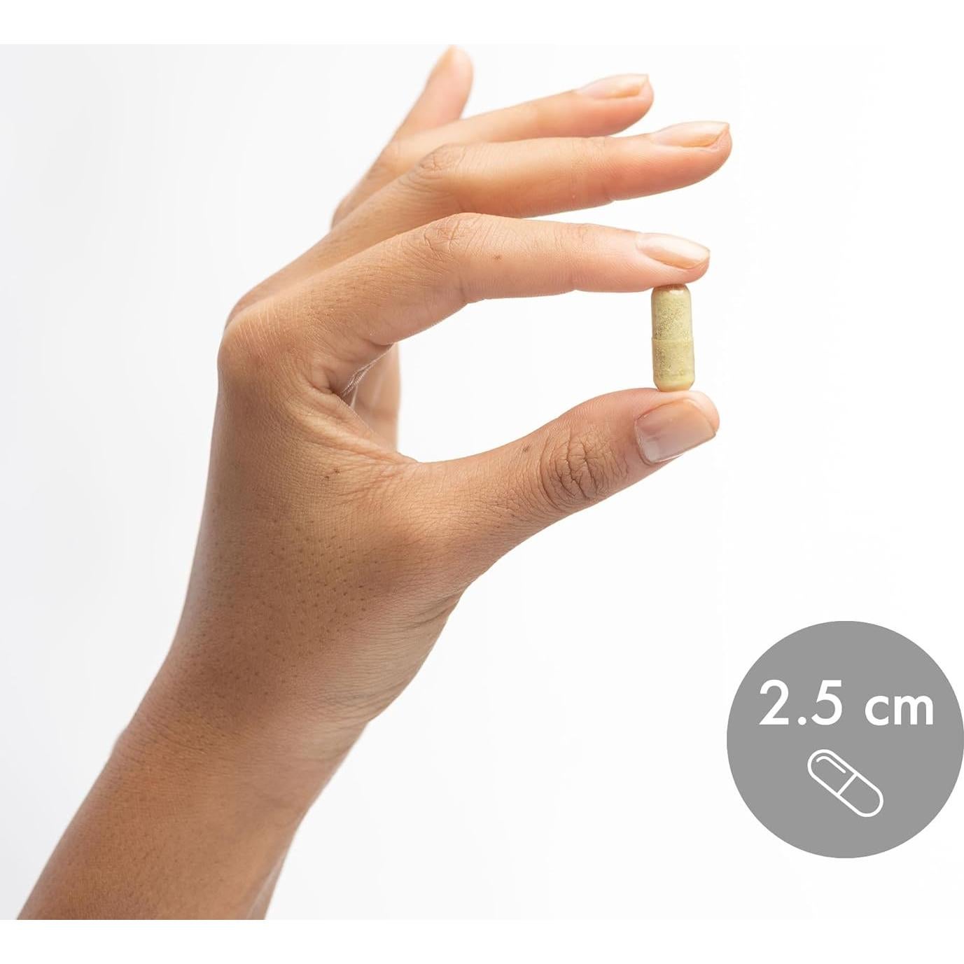 Suplemento Inmunológico Dr. Mercola Quercetina 500 mg - 180 Cápsulas