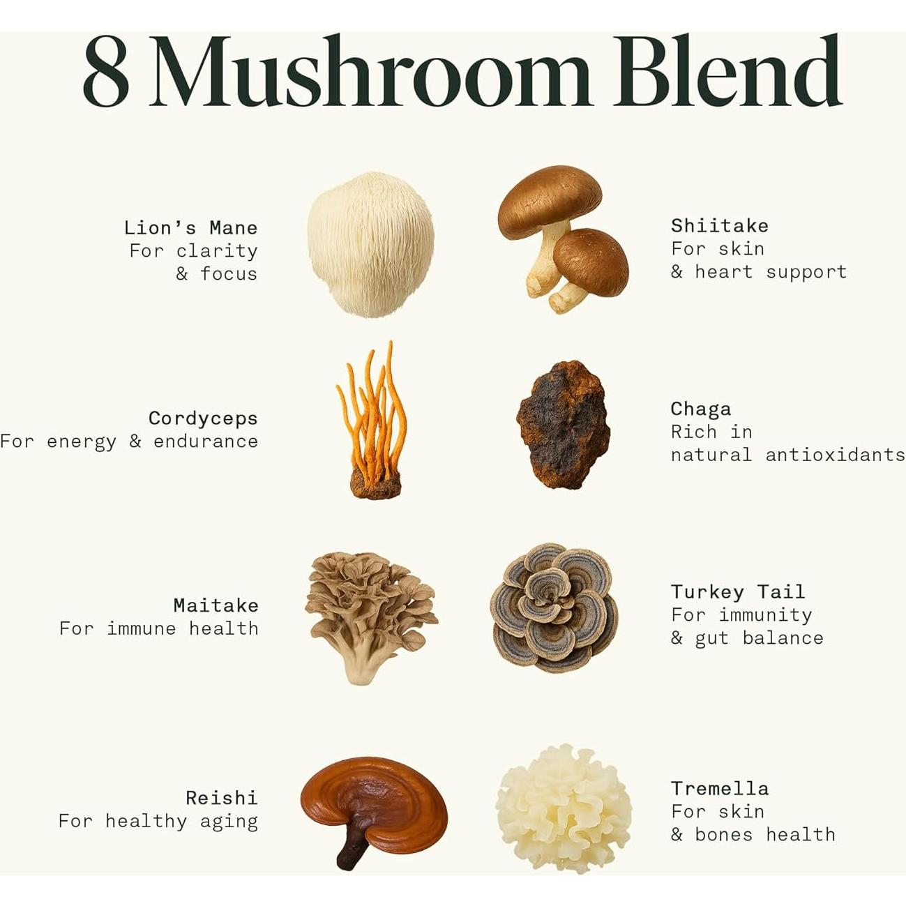 Extracto de Hongo Fantastic Fungi 8-en-1 - 29.57 ml