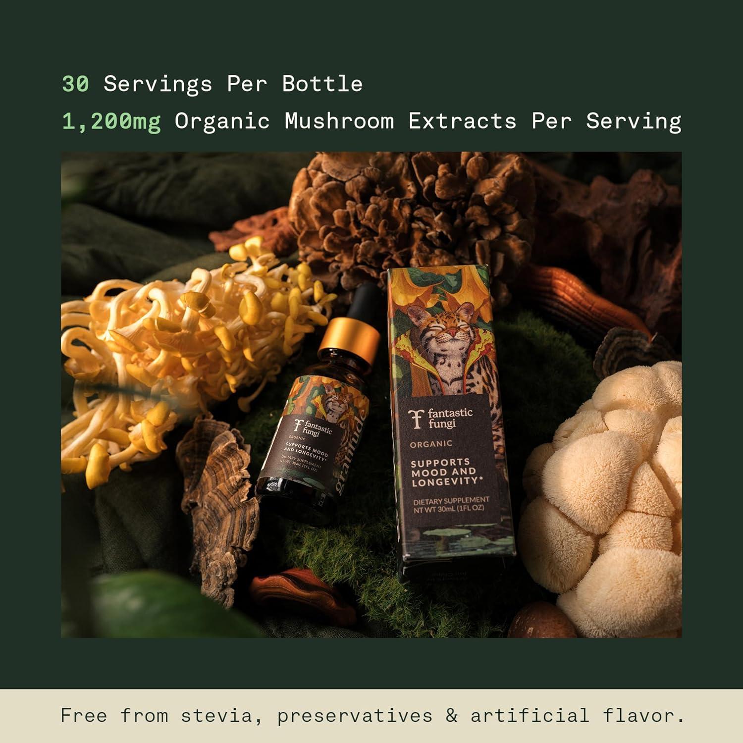 Extracto de Hongo Fantastic Fungi 8-en-1 - 29.57 ml