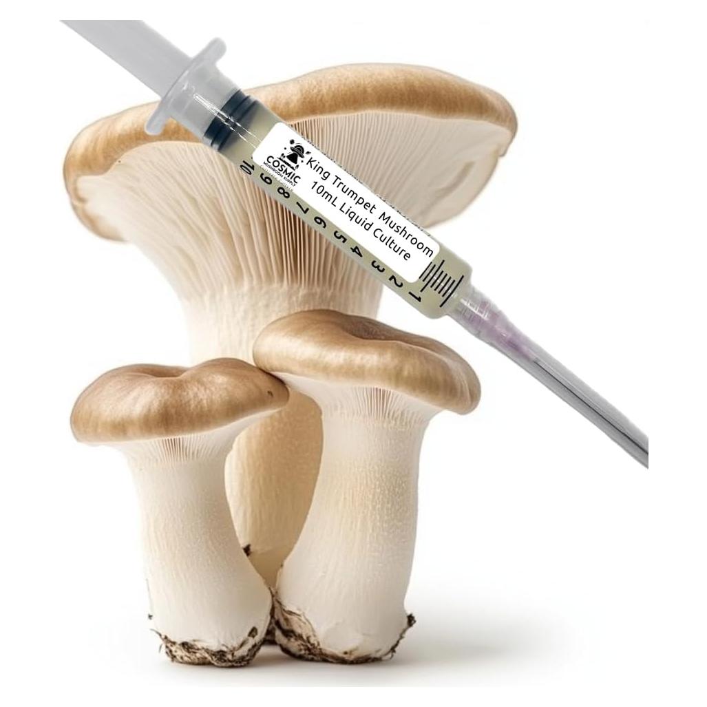 Cultivo Líquido Hongo Trumpet Rey 10cc - Suministro de Hongos Cósmicos
