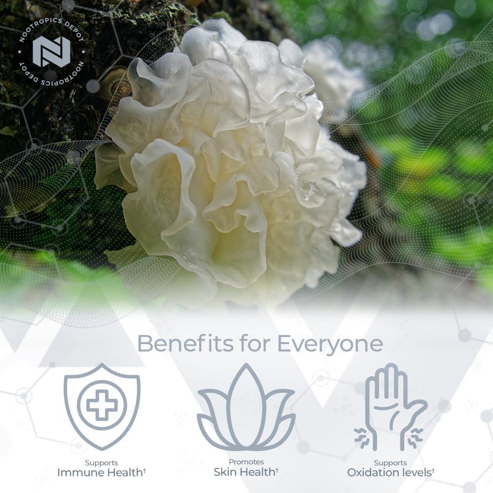 Cápsulas de Hongo Jelly Blanco Nootropics Depot 500mg 60 Unidades