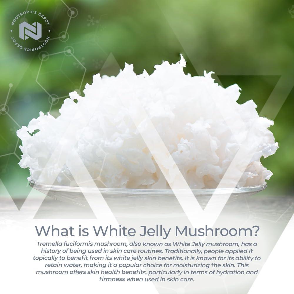 Cápsulas de Hongo Jelly Blanco Nootropics Depot 500mg 60 Unidades