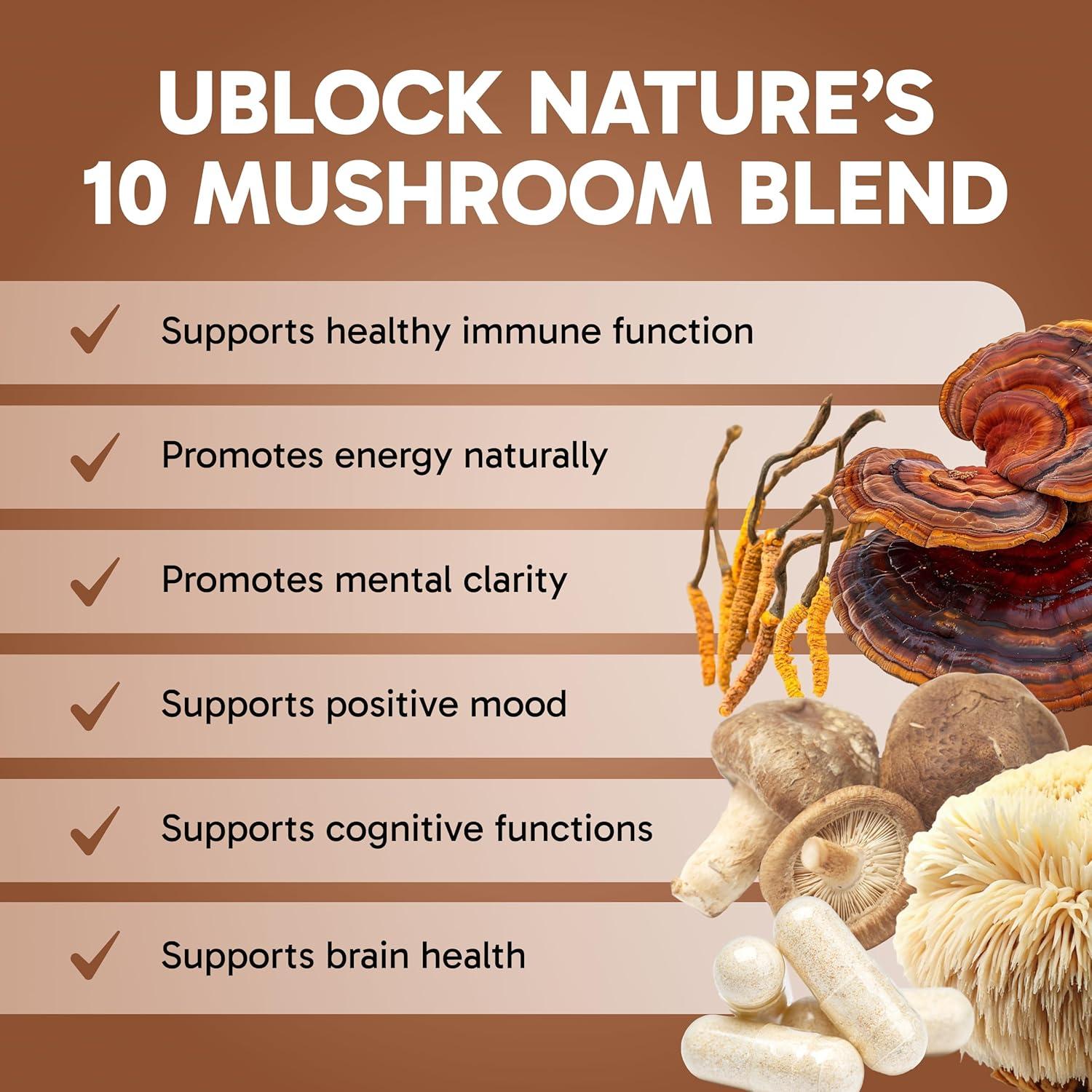 Suplemento Nootrópico Efectos Clínicos - 60 Cápsulas de Hongos