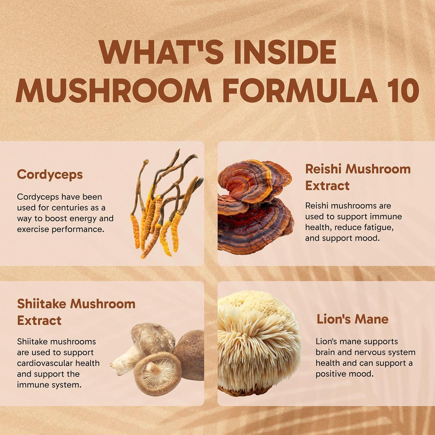 Suplemento Nootrópico Efectos Clínicos - 60 Cápsulas de Hongos