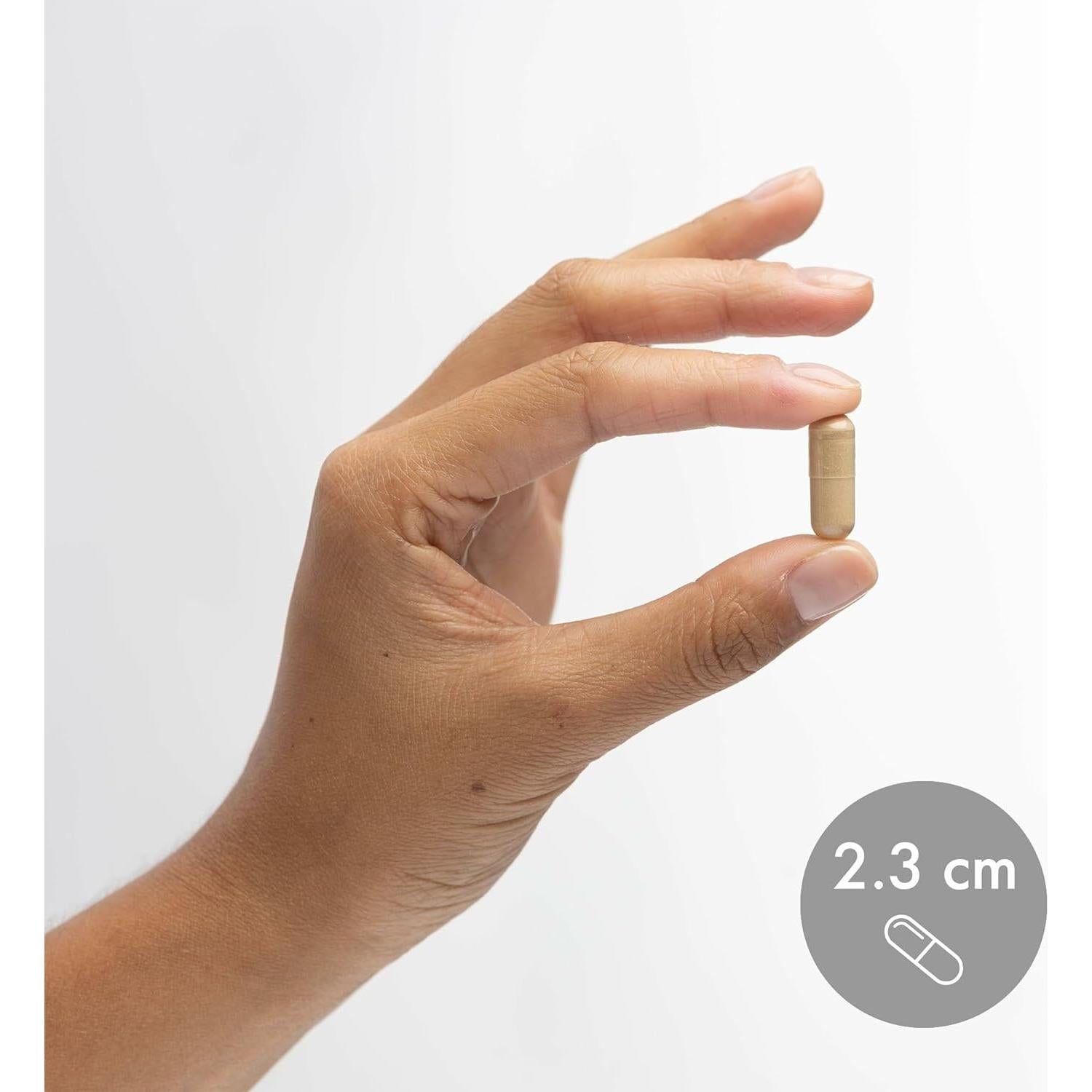 Complejo de Champiñones Fermentados Orgánicos Dr. Mercola - 90 Cápsulas