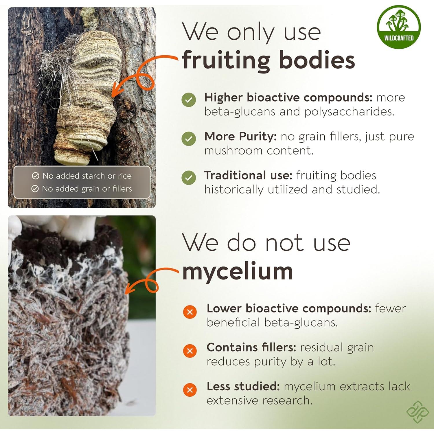 Cápsulas de Hongo Agarikon Longevity Botanicals 120 Unidades