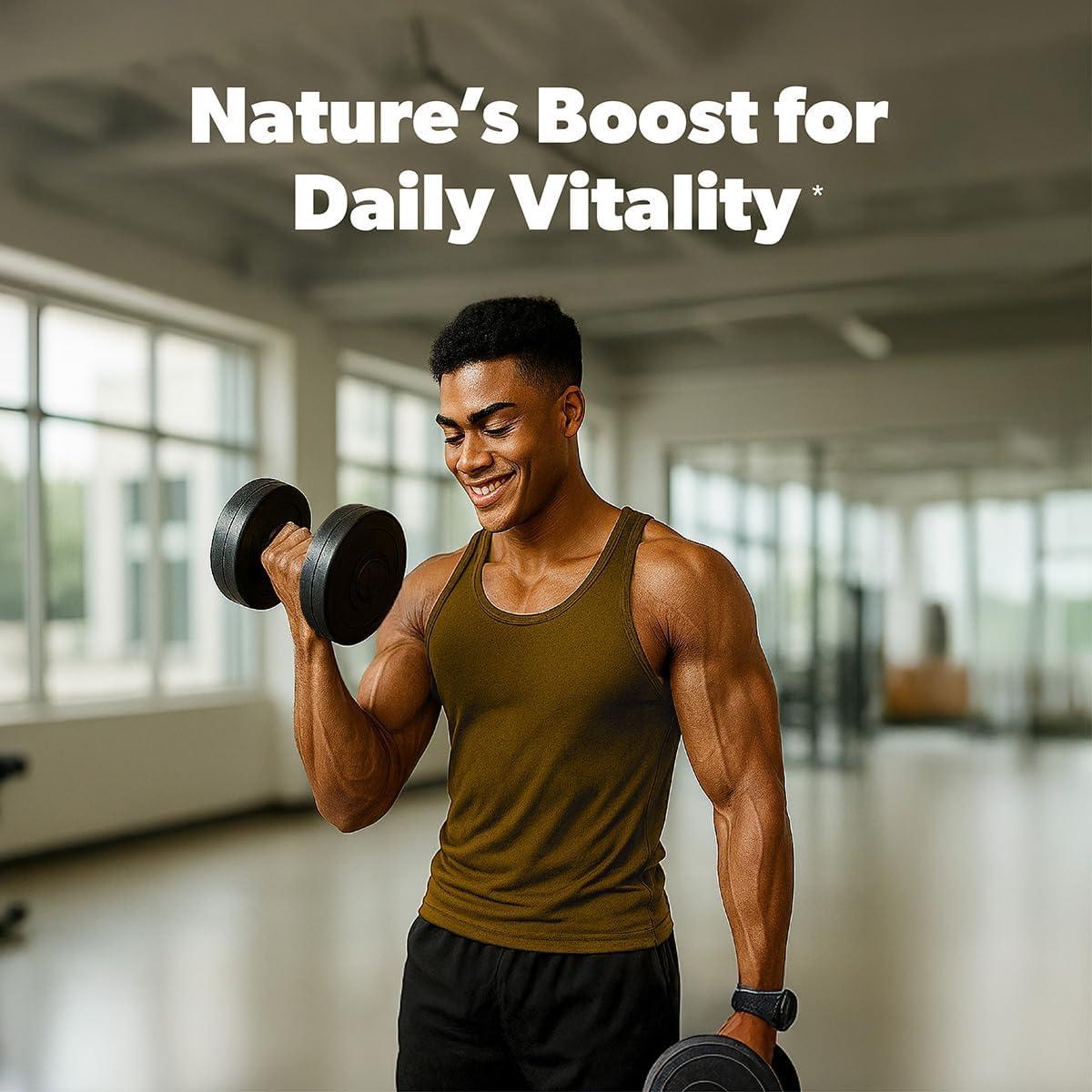 SAN ZENTORI 11-in-1 Mushroom Supplement Powder – Lions Mane, Chaga Turkey Tail, Reishi, Cordyceps, Agarikon, Tigermilk - 40 Servings