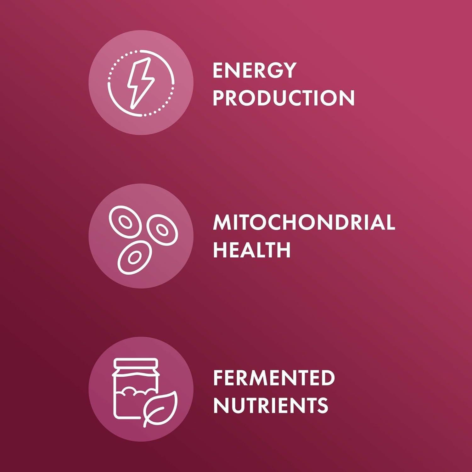 Remolachas Fermentadas Orgánicas Dr. Mercola - 60 Cápsulas