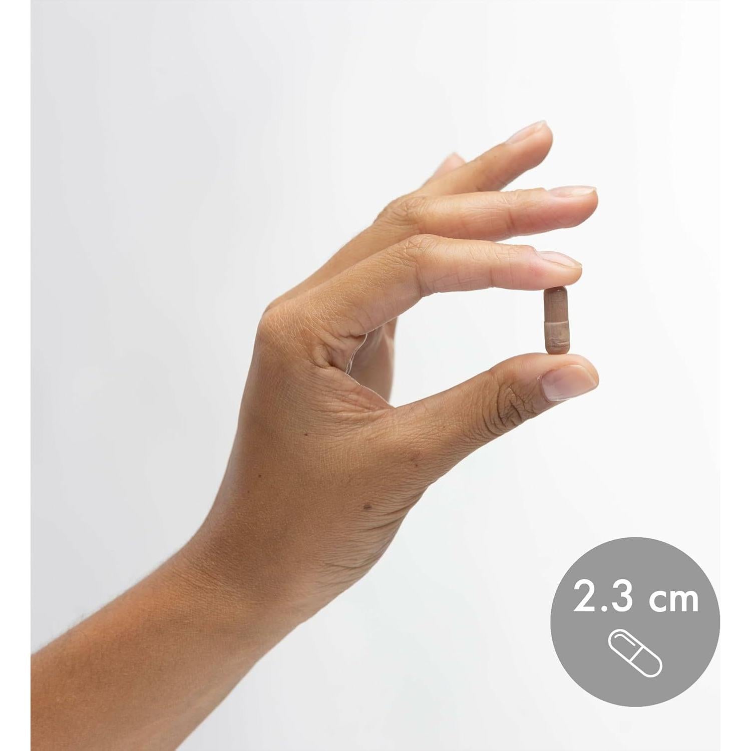 Remolachas Fermentadas Orgánicas Dr. Mercola - 60 Cápsulas